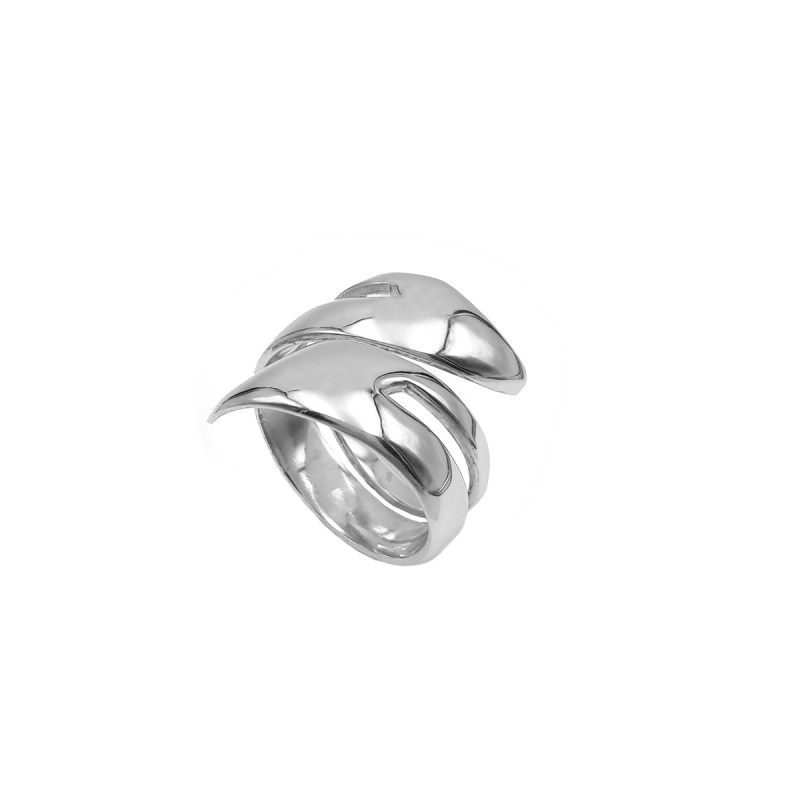 ring iver